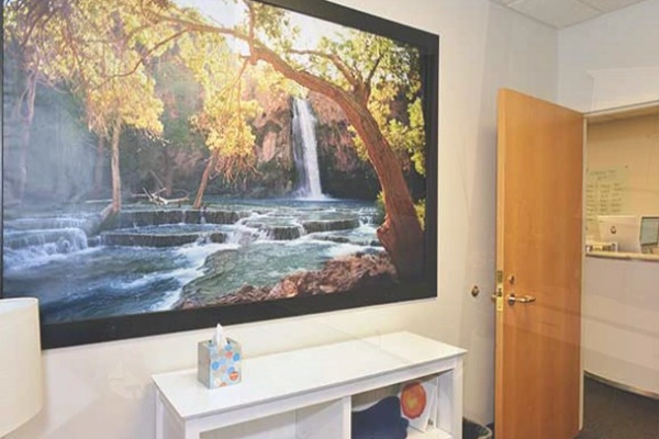 Chiropractic Roseville MN Painting